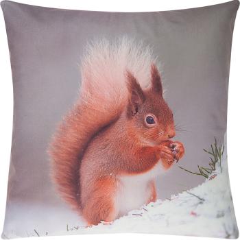 Kissenhülle Motiv Eichhörnchen 40 x 40 cm Velours-Optik